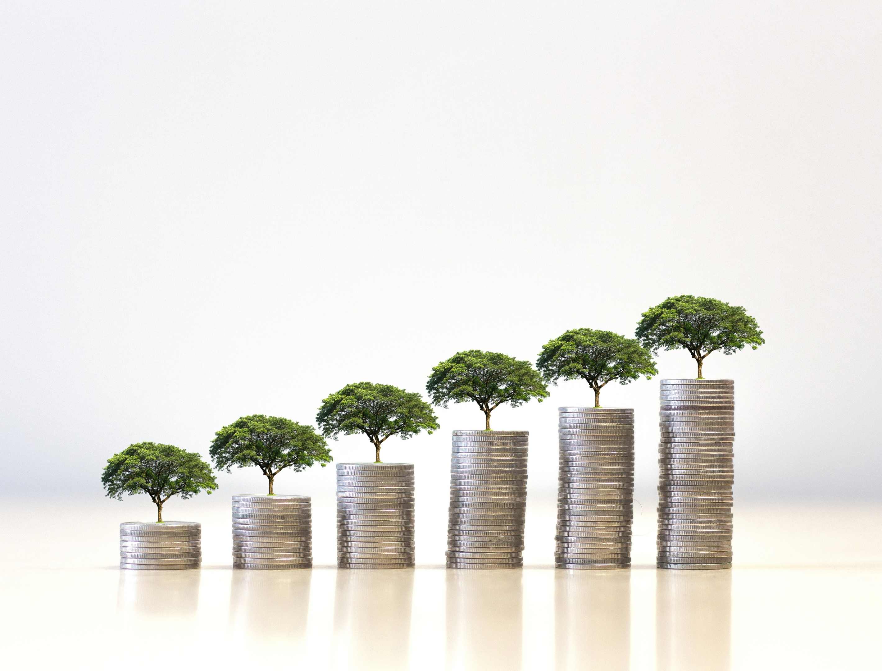 Sustainable Finance SF01